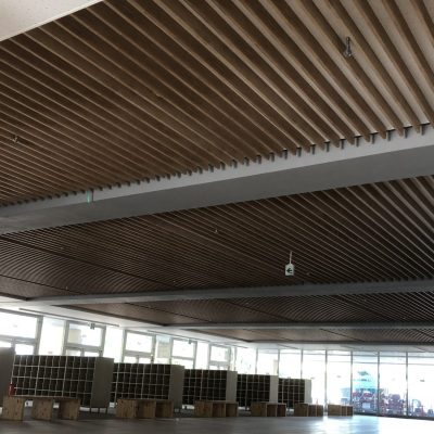 都立学校